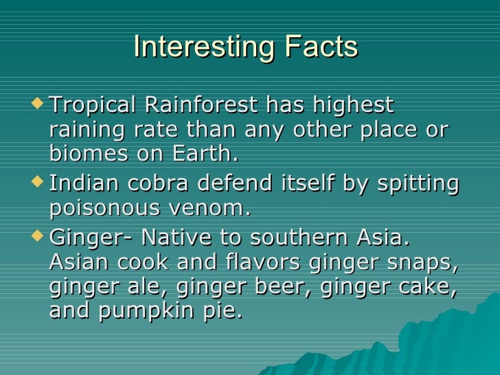 Tropical Rainforest