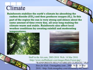 Tropical Rainforests 1 | PPT