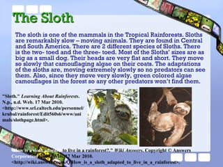 Tropical Rainforests 1 | PPT