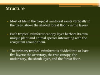 Structure

• Most of life in the tropical rainforest exists vertically in
  the trees, above the shaded forest floor - in the layers.

• Each tropical rainforest canopy layer harbors its own
  unique plant and animal species interacting with the
  ecosystem around them.

• The primary tropical rainforest is divided into at least
  five layers: the overstory, the true canopy, the
  understory, the shrub layer, and the forest floor.
 