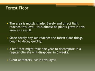 Forest Floor


• The area is mostly shade. Barely and direct light
  reaches this level, thus almost no plants grow in this
  area as a result.

• Since hardly any sun reaches the forest floor things
  begin to decay quickly.

• A leaf that might take one year to decompose in a
  regular climate will disappear in 6 weeks.

• Giant anteaters live in this layer.
 