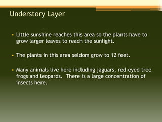 Understory Layer

• Little sunshine reaches this area so the plants have to
  grow larger leaves to reach the sunlight.

• The plants in this area seldom grow to 12 feet.

• Many animals live here including jaguars, red-eyed tree
  frogs and leopards. There is a large concentration of
  insects here.
 
