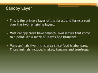 Canopy Layer

• This is the primary layer of the forest and forms a roof
  over the two remaining layers.

• Most canopy trees have smooth, oval leaves that come
  to a point. It's a maze of leaves and branches.

• Many animals live in this area since food is abundant.
  Those animals include: snakes, toucans and treefrogs.
 