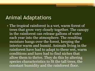 Animal Adaptations
• The tropical rainforest is a wet, warm forest of
  trees that grow very closely together. The canopy
  in the rainforest can release gallons of water
  each year into the atmosphere. The resulting
  moisture hangs over the forest, keeping the
  interior warm and humid. Animals living in the
  rainforest have had to adapt to these wet, warm
  conditions and have had to find niches that
  allow them to thrive. They do this by altering
  species characteristics to fit the tall trees, the
  constant humidity and the rainforest floor.
 