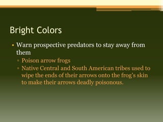 Bright Colors
• Warn prospective predators to stay away from
  them
 ▫ Poison arrow frogs
 ▫ Native Central and South American tribes used to
   wipe the ends of their arrows onto the frog's skin
   to make their arrows deadly poisonous.
 