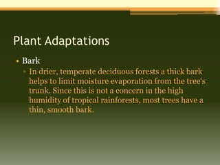 Plant Adaptations
• Bark
 ▫ In drier, temperate deciduous forests a thick bark
   helps to limit moisture evaporation from the tree's
   trunk. Since this is not a concern in the high
   humidity of tropical rainforests, most trees have a
   thin, smooth bark.
 