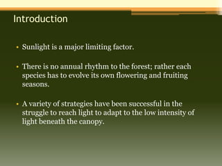 Introduction

• Sunlight is a major limiting factor.

• There is no annual rhythm to the forest; rather each
  species has to evolve its own flowering and fruiting
  seasons.

• A variety of strategies have been successful in the
  struggle to reach light to adapt to the low intensity of
  light beneath the canopy.
 