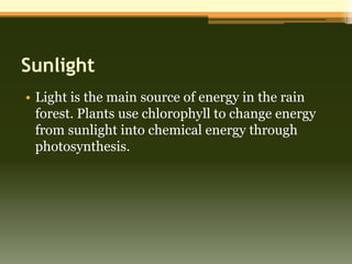 Sunlight
• Light is the main source of energy in the rain
  forest. Plants use chlorophyll to change energy
  from sunlight into chemical energy through
  photosynthesis.
 