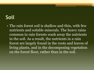Soil
• The rain forest soil is shallow and thin, with few
  nutrients and soluble minerals. The heavy rains
  common in rain forests wash away the nutrients
  in the soil. As a result, the nutrients in a rain
  forest are largely found in the roots and leaves of
  living plants, and in the decomposing vegetation
  on the forest floor, rather than in the soil.
 