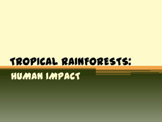 TROPICAL RAINFORESTS:
HUMAN IMPACT
 