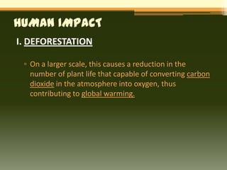 HUMAN IMPACT
I. DEFORESTATION

 ▫ On a larger scale, this causes a reduction in the
   number of plant life that capable of converting carbon
   dioxide in the atmosphere into oxygen, thus
   contributing to global warming.
 
