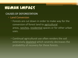 HUMAN IMPACT
CAUSES OF DEFORESTATION
  ▫ Land Conversion
     Forests are cut down in order to make way for the
      conversion of forest land to agricultural
      areas, ranches, residential spaces or for other urban
      uses.

     Continual agricultural use often renders the soil
      extensively depleted which severely decreases the
      probability of recovery for these forests.
 