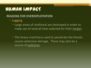 HUMAN IMPACT
REASONS FOR OVEREXPLOITATION
  ▫ Logging
     Large areas of rainforest are destroyed in order to
      make use of several trees selected for their timber.

     The heavy machinery used to penetrate the forests
      causes extensive damage. These may also be a
      source of pollution.
 