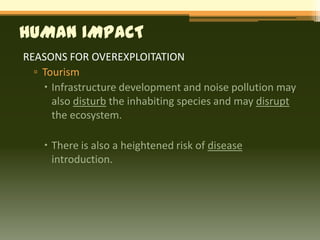 HUMAN IMPACT
REASONS FOR OVEREXPLOITATION
  ▫ Tourism
     Infrastructure development and noise pollution may
      also disturb the inhabiting species and may disrupt
      the ecosystem.

     There is also a heightened risk of disease
      introduction.
 