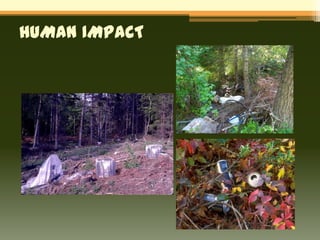 HUMAN IMPACT
 
