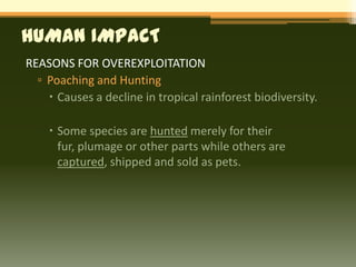 HUMAN IMPACT
REASONS FOR OVEREXPLOITATION
  ▫ Poaching and Hunting
     Causes a decline in tropical rainforest biodiversity.

     Some species are hunted merely for their
      fur, plumage or other parts while others are
      captured, shipped and sold as pets.
 
