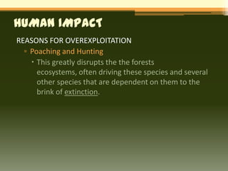 HUMAN IMPACT
REASONS FOR OVEREXPLOITATION
  ▫ Poaching and Hunting
     This greatly disrupts the the forests
      ecosystems, often driving these species and several
      other species that are dependent on them to the
      brink of extinction.
 