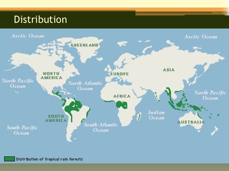 Tropical Rainforests