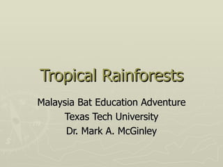 Tropical Rainforests
Malaysia Bat Education Adventure
     Texas Tech University
      Dr. Mark A. McGinley
 