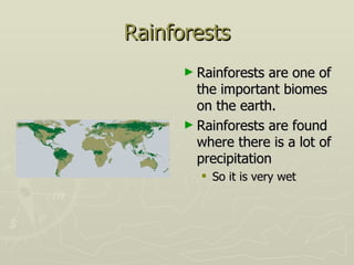 rainforests