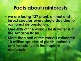 Facts about rainforests
• we are losing 137 plant, animal and
  insect species every single day due to
  rainforest deforestation. 
• One-fifth of the world's fresh water is in
  the Amazon Basin.
• More than half of the world's estimated
  10 million species of plants, animals
  and insects live in the tropical
  rainforests. 
 