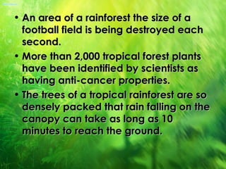 • An area of a rainforest the size of a
  football field is being destroyed each
  second.
• More than 2,000 tropical forest plants
  have been identified by scientists as
  having anti-cancer properties.
• The trees of a tropical rainforest are so
  densely packed that rain falling on the
  canopy can take as long as 10
  minutes to reach the ground.
 