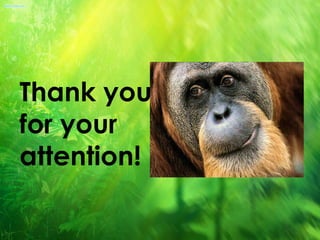 Thank you
for your
attention!
 
