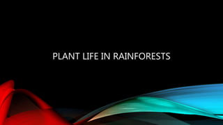 PLANT LIFE IN RAINFORESTS
 