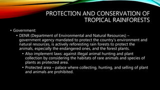 PROTECTION AND CONSERVATION OF
TROPICAL RAINFORESTS
• Government:
• DENR (Department of Environmental and Natural Resources) –
government agency mandated to protect the country’s environment and
natural resources, is actively reforesting rain forests to protect the
animals, especially the endangered ones, and the forest plants.
• Also implement laws: against illegal animal hunting and plant
collection by considering the habitats of rare animals and species of
plants as protected area.
• Protected area – palace where collecting, hunting, and selling of plant
and animals are prohibited.
 