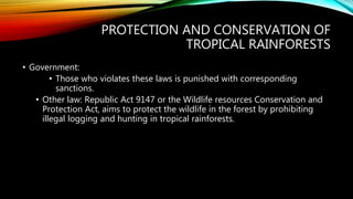 PROTECTION AND CONSERVATION OF
TROPICAL RAINFORESTS
• Government:
• Those who violates these laws is punished with corresponding
sanctions.
• Other law: Republic Act 9147 or the Wildlife resources Conservation and
Protection Act, aims to protect the wildlife in the forest by prohibiting
illegal logging and hunting in tropical rainforests.
 