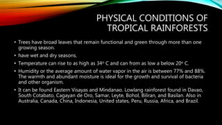 PHYSICAL CONDITIONS OF
TROPICAL RAINFORESTS
• Trees have broad leaves that remain functional and green through more than one
growing season.
• have wet and dry seasons.
• Temperature can rise to as high as 34o C and can from as low a below 20o C.
• Humidity or the average amount of water vapor in the air is between 77% and 88%.
The warmth and abundant moisture is ideal for the growth and survival of bacteria
and other organism.
• It can be found Eastern Visayas and Mindanao. Lowlang rainforest found in Davao,
South Cotabato, Cagayan de Oro, Samar, Leyte, Bohol, Biliran, and Basilan. Also in
Australia, Canada, China, Indonesia, United states, Peru, Russia, Africa, and Brazil.
 