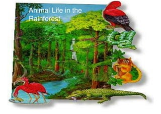 Tropical Rainforests | PDF