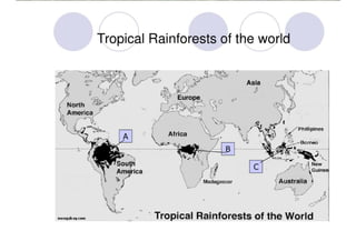 Tropical Rainforests | PDF