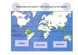 Tropical Rainforests | PDF
