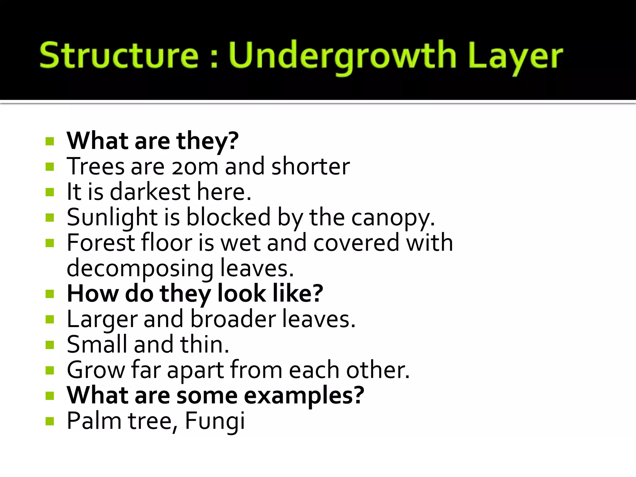  What are they?
 Trees are 20m and shorter
 It is darkest here.
 Sunlight is blocked by the canopy.
 Forest floor is wet and covered with
decomposing leaves.
 How do they look like?
 Larger and broader leaves.
 Small and thin.
 Grow far apart from each other.
 What are some examples?
 Palm tree, Fungi
 