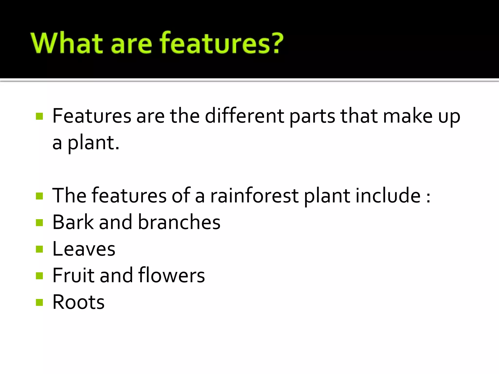  Features are the different parts that make up
a plant.
 The features of a rainforest plant include :
 Bark and branches
 Leaves
 Fruit and flowers
 Roots
 