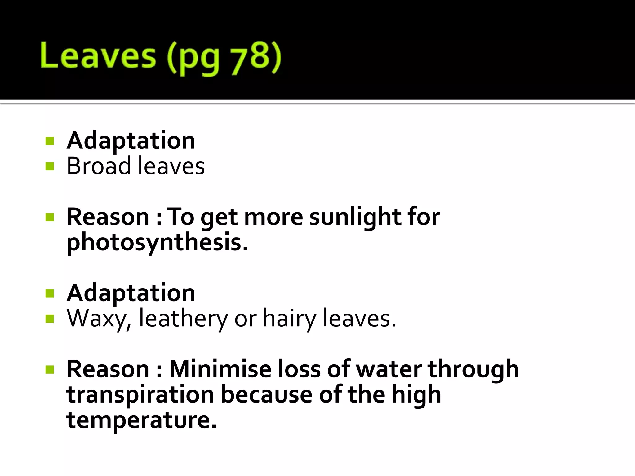  Adaptation
 Broad leaves
 Reason :To get more sunlight for
photosynthesis.
 Adaptation
 Waxy, leathery or hairy leaves.
 Reason : Minimise loss of water through
transpiration because of the high
temperature.
 