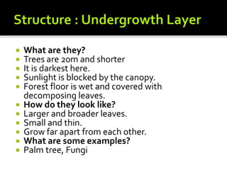  What are they?
 Trees are 20m and shorter
 It is darkest here.
 Sunlight is blocked by the canopy.
 Forest floor is wet and covered with
decomposing leaves.
 How do they look like?
 Larger and broader leaves.
 Small and thin.
 Grow far apart from each other.
 What are some examples?
 Palm tree, Fungi
 