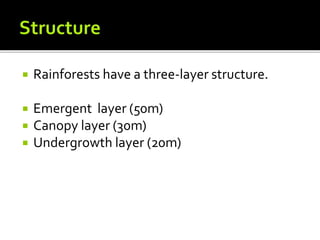  Rainforests have a three-layer structure.
 Emergent layer (50m)
 Canopy layer (30m)
 Undergrowth layer (20m)
 