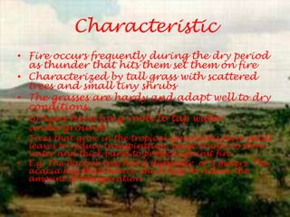 Characteristic
• Fire occurs frequently during the dry period
  as thunder that hits them set them on fire
• Characterized by tall grass with scattered
  trees and small tiny shrubs
• The grasses are hardy and adapt well to dry
  conditions
• Grasses have long roots to tap water
  underground
• Trees that grow in the tropical savannahs have small
  leaves to reduce transpiration, large trunks to store
  water and thick barks to protect against fire
• E.g. The Baobob tree has a diameter of 9 meters. The
  acacia has thick leaves which help to reduce the
  amount of transpiration
 