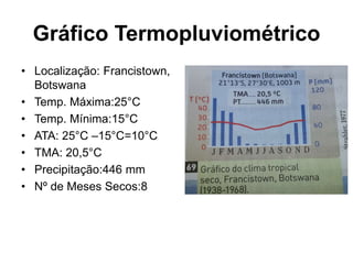 Gráfico Termopluviométrico
• Localização: Francistown,
Botswana
• Temp. Máxima:25°C
• Temp. Mínima:15°C
• ATA: 25°C –15°C=10°C
• TMA: 20,5°C
• Precipitação:446 mm
• Nº de Meses Secos:8
 