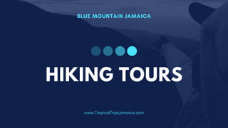 BLUE MOUNTAIN JAMAICA
www.TropicalTripsJamaica.com
HIKING TOURS
 