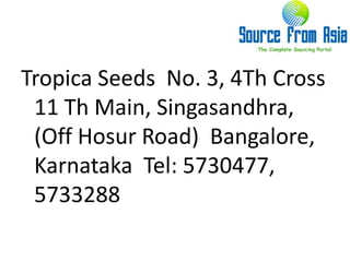 Tropica Seeds  No. 3, 4Th Cross 11 Th Main, Singasandhra, (Off Hosur Road)  Bangalore, Karnataka  Tel: 5730477, 5733288 