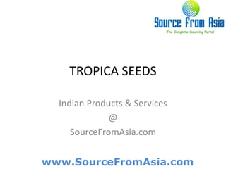 TROPICA SEEDS  Indian Products & Services @ SourceFromAsia.com 