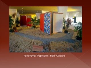 Penetráveis Tropicália – Hélio Oiticica 
 