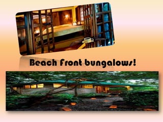 Beach Front bungalows!