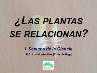 ¿LAS PLANTAS
SE RELACIONAN?
  I Semana de la Ciencia
  I.E.S. Los Montecillos (Coín - Málaga)
 