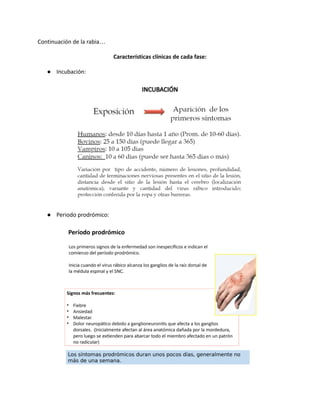 Continuación de la rabia…
Características clínicas de cada fase:
● Incubación:
● Periodo prodrómico:
 