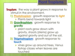Plant Tropisms
Tropism: the way a plant grows in response to
   stimuli in the environment.
   1) Phototropism: growth response to light
        Plants bend towards light
   2) Gravitrophism: growth response to
      gravity
        plant roots grow down with
         gravity, shoots (stems) grow up
         against gravity and out of the soil.
   3) Thigmotropism: growth response to
      touch
        vines grow up around trees, Venus
         flytrap closes when leaves are
         touched
 