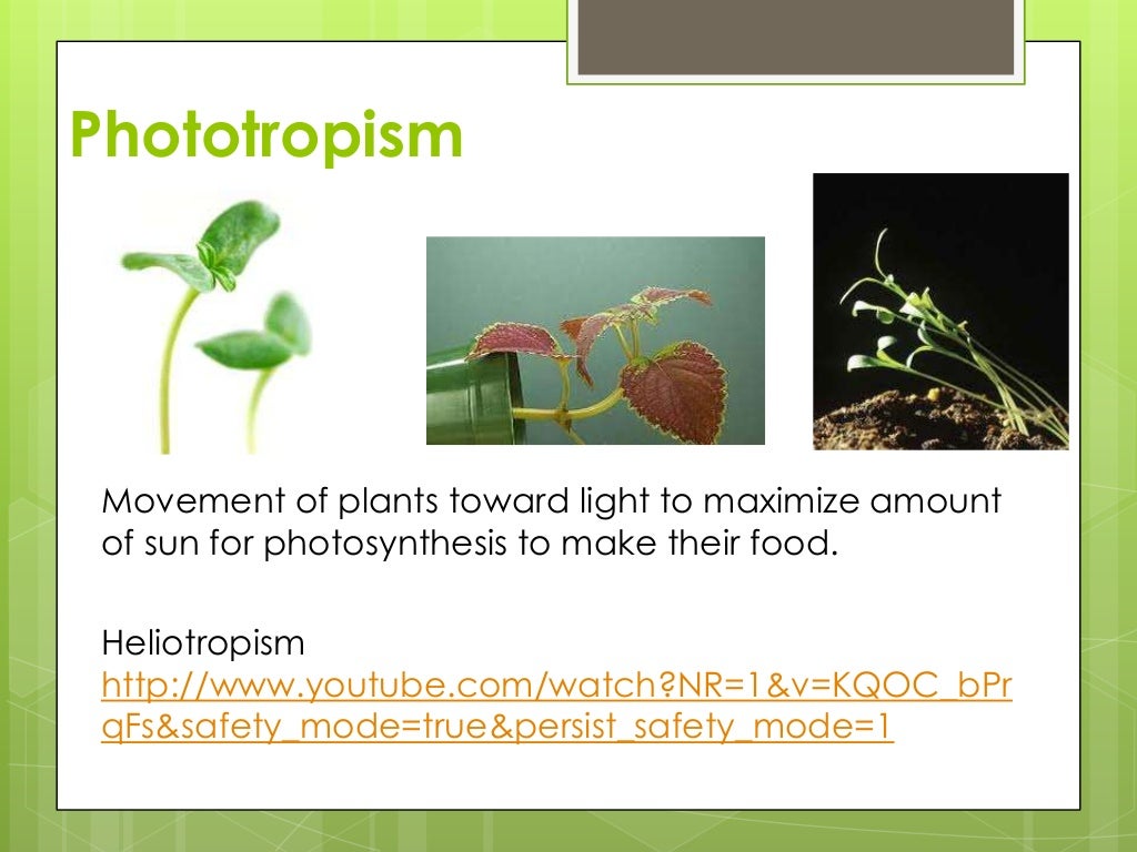 Tropism